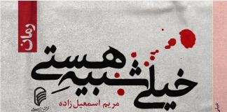 نوشتاری در معرفی و نقد رمان «خیلی شبیه هستی» خیلی شبیه هستی