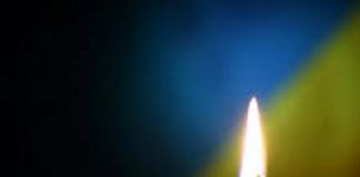 پروانههای شعر جنگ جنگ