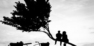 شعرهایی از ثمن افضلیفرد عشق