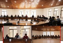 جلسه نقد و بررسی قصه ماهی سیاه کوچولو ماهی سیاه کوچولو