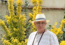 تحلیل روانکاوانهٔ آثار وحید ضیائی