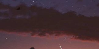 شعرهایی از مریم تقوی فرد دل گیری