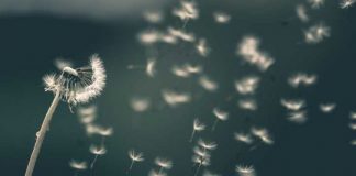 شعرهایی از فاطمه حقی فاطمه حقی