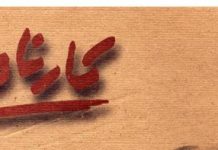 کارنامه ادبی فرهنگی سال 1404 دکتر وحید ضیائی